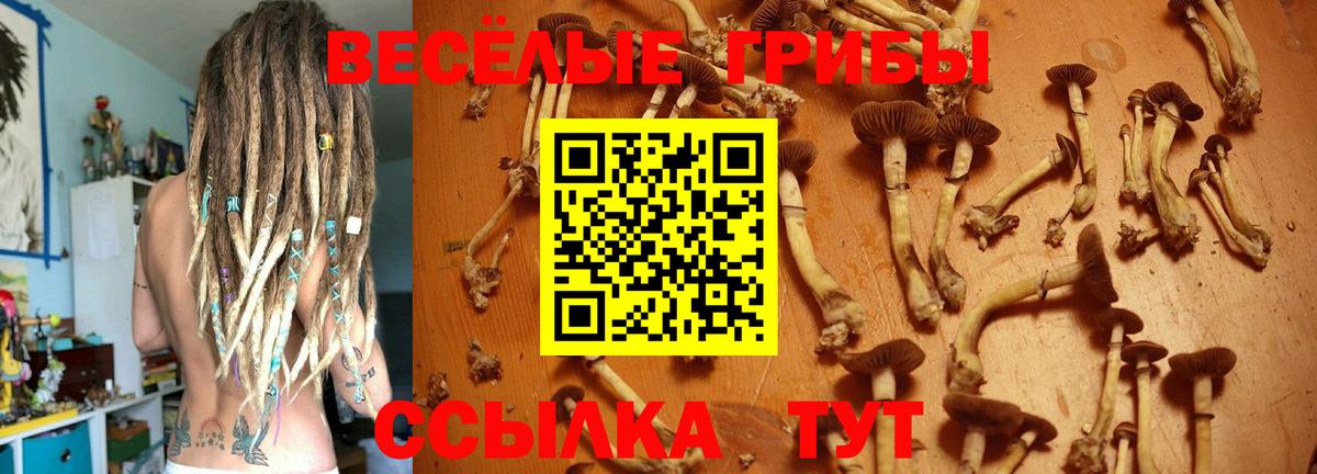Галлюциногенные грибы Magic Shrooms Берёзовский