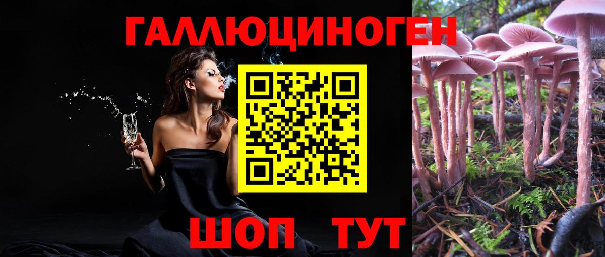 Псилоцибиновые грибы мухоморы  Галлюциногенные грибы GOLDEN TEACHER  Берёзовский  Вход с VPN 